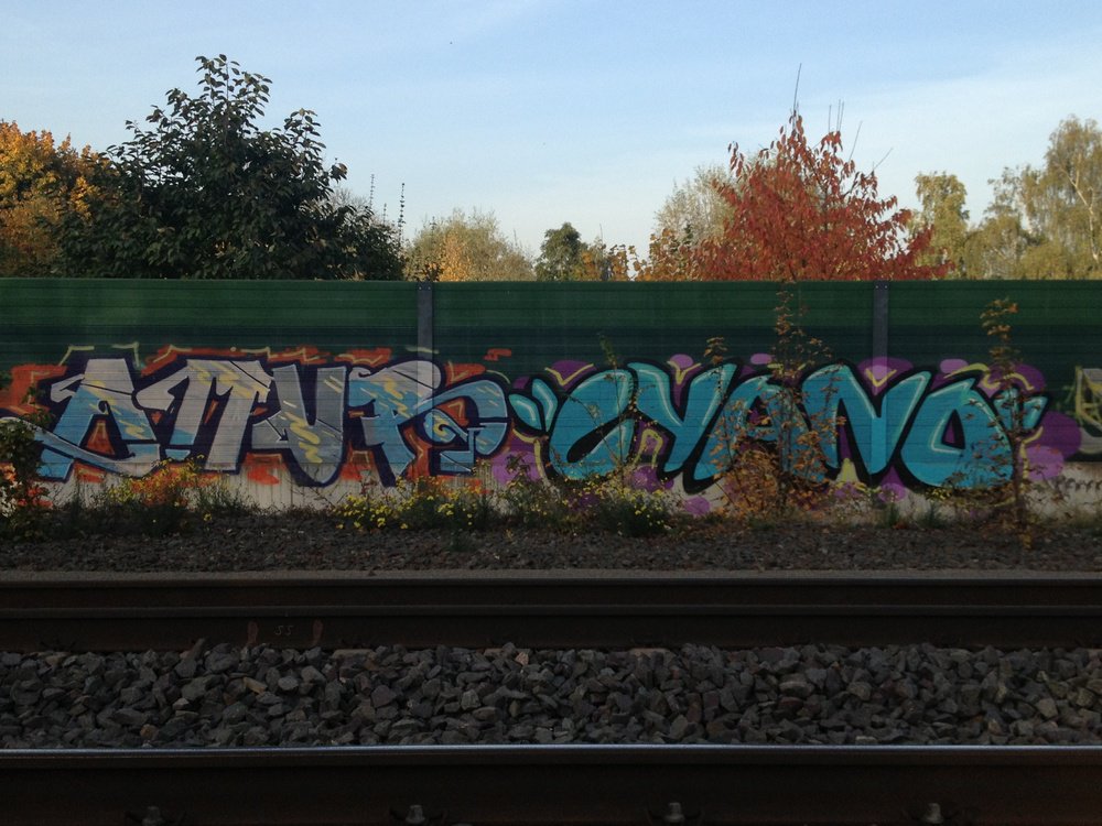 Graffiti Bombing - Photo by Marieundjana - amur, cyano