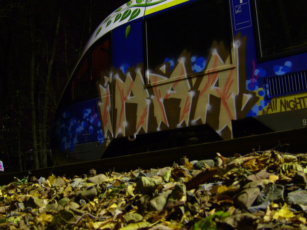 Graffiti Train - Photo by Marieundjana - irra