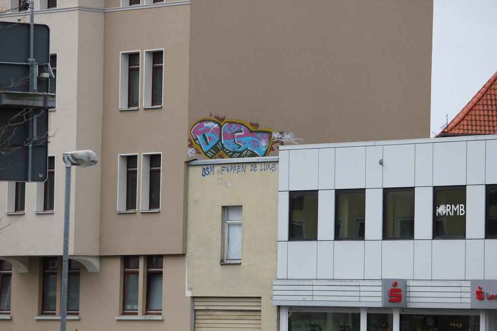 Graffiti Bombing - Photo by Marieundjana - dq