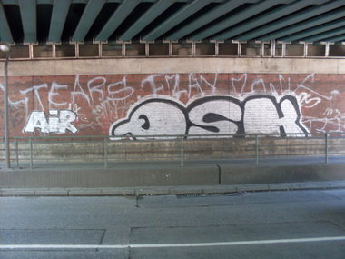 Graffiti Bombing - Photo by Marieundjana - qsk