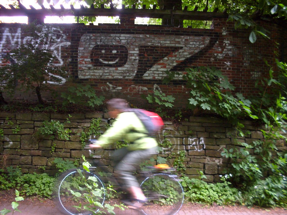 Graffiti Bombing - Photo by Marieundjana - oz