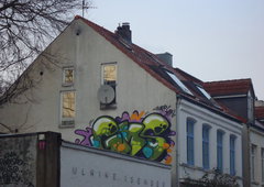 Graffiti Bombing - Photo by Marieundjana - gms