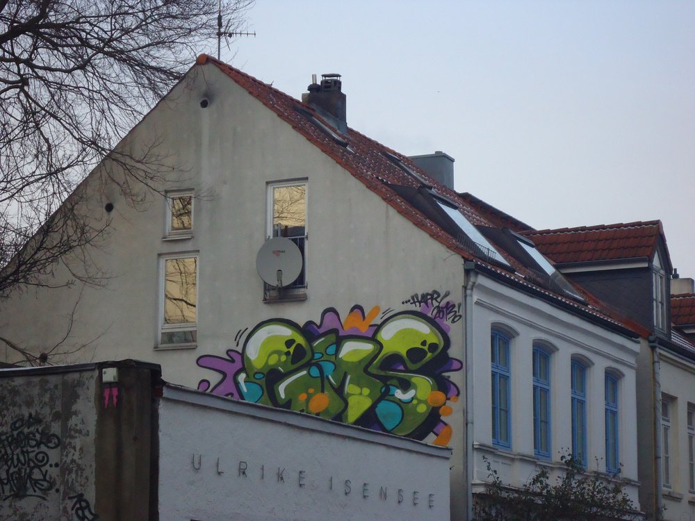 Graffiti Bombing - Photo by Marieundjana - gms