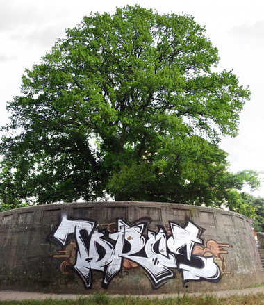 Graffiti Bombing - Photo by Marieundjana - tdr, rcs