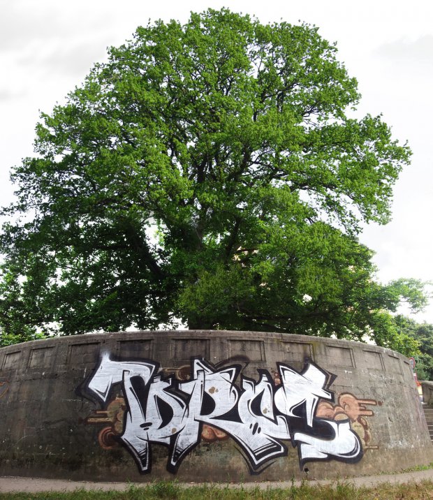 Graffiti Bombing - Photo by Marieundjana - tdr, rcs