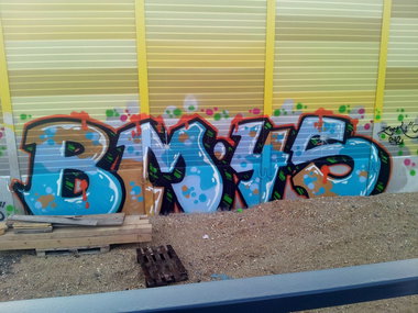 Graffiti Bombing - Photo by Marieundjana - bm45