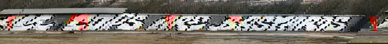 Graffiti Bombing - Photo by Marieundjana