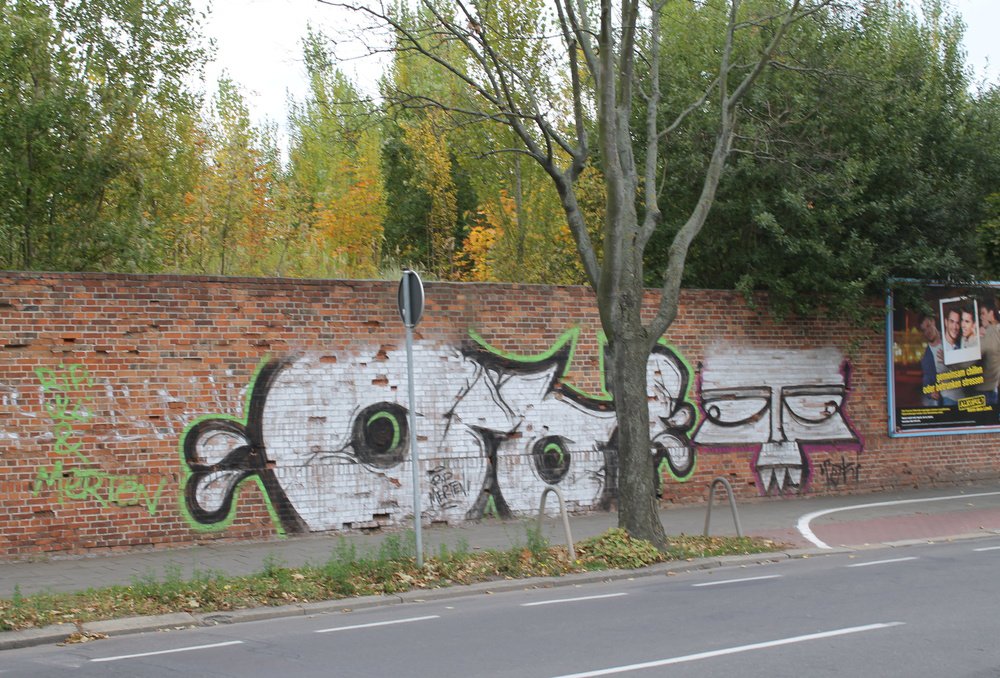 Graffiti Bombing - Photo by Marieundjana - oo