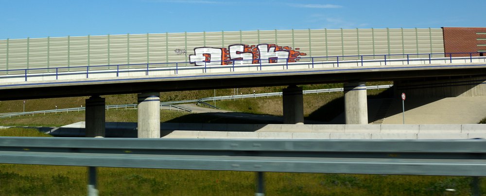 Graffiti Bombing - Photo by Marieundjana - qsk