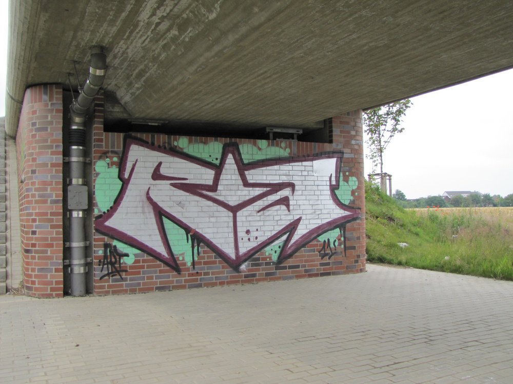 Graffiti Bombing - Photo by Marieundjana - ra