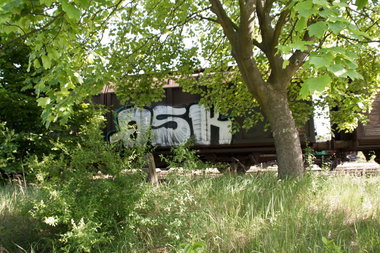 Graffiti Train - Photo by Marieundjana - qsk