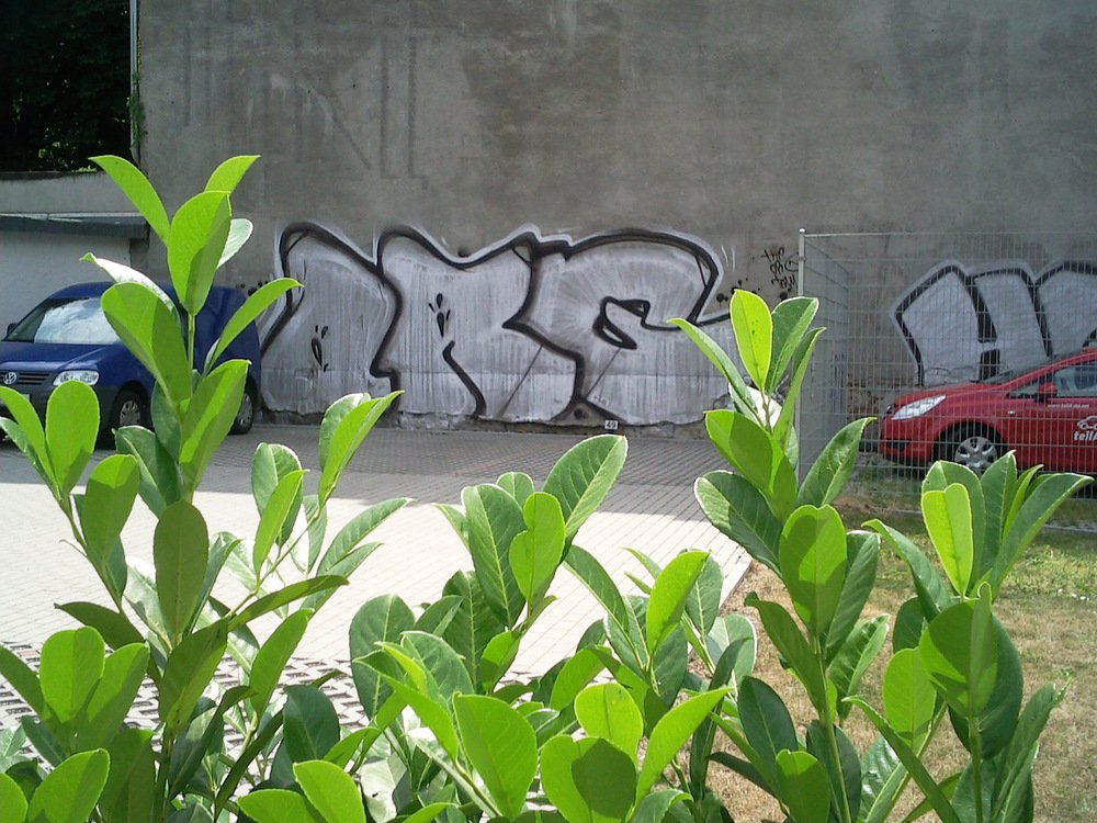 Graffiti Bombing - Photo by Marieundjana - org