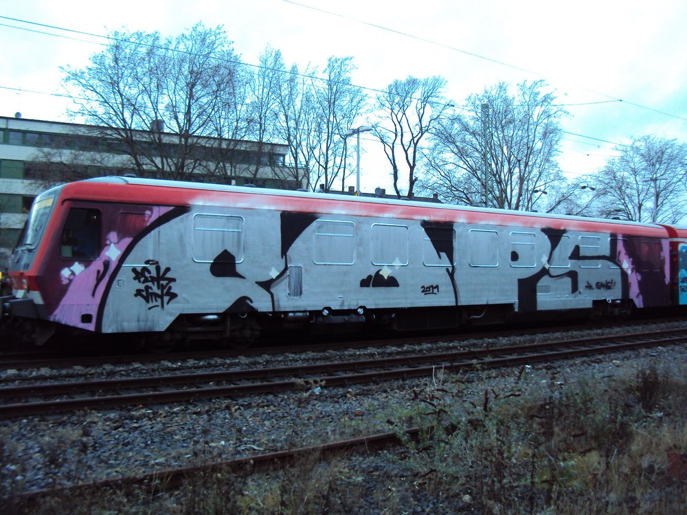 Graffiti Train - Photo by Marieundjana - cops