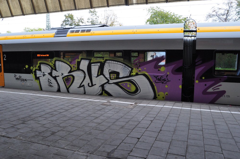 Graffiti Train - Photo by Marieundjana - brus