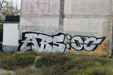 Graffiti Bombing - Photo by Marieundjana - abs