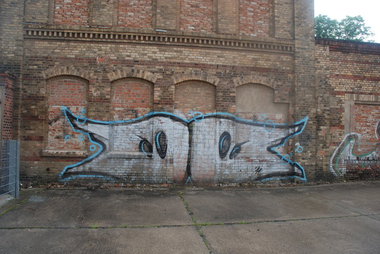 Graffiti Bombing - Photo by Marieundjana - oo