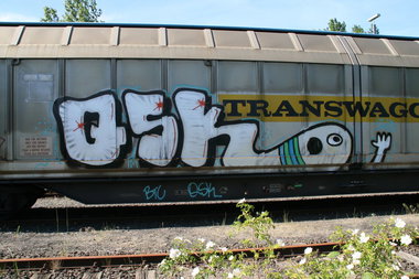 Graffiti Train - Photo by Marieundjana - qsk