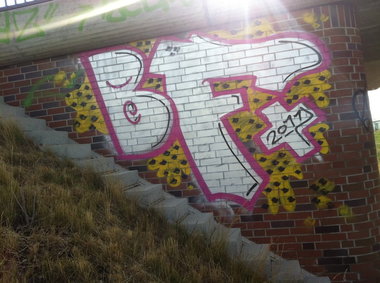 Graffiti Bombing - Photo by Marieundjana - bf
