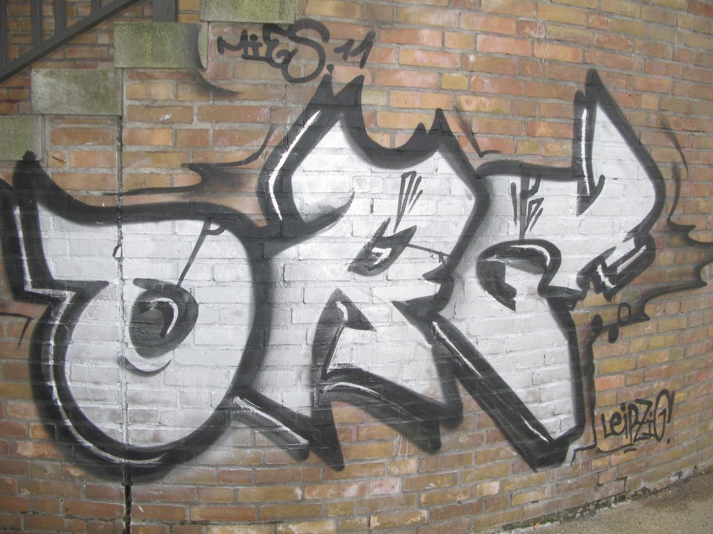 Graffiti Bombing - Photo by Marieundjana - org