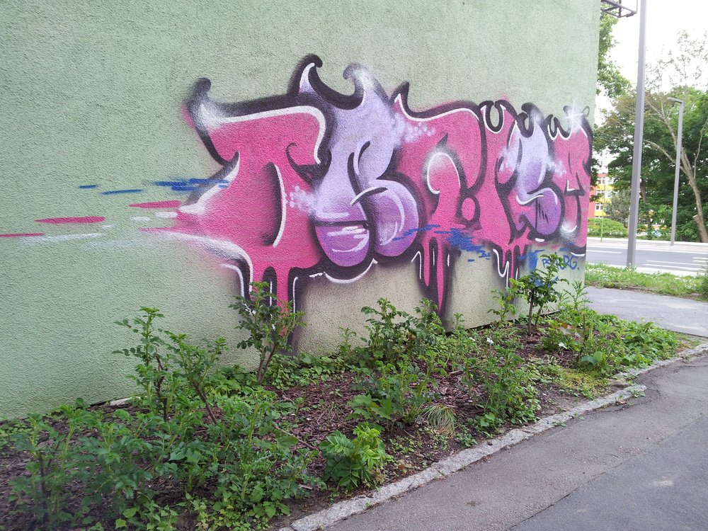 Graffiti Bombing - Photo by Marieundjana - org, psm