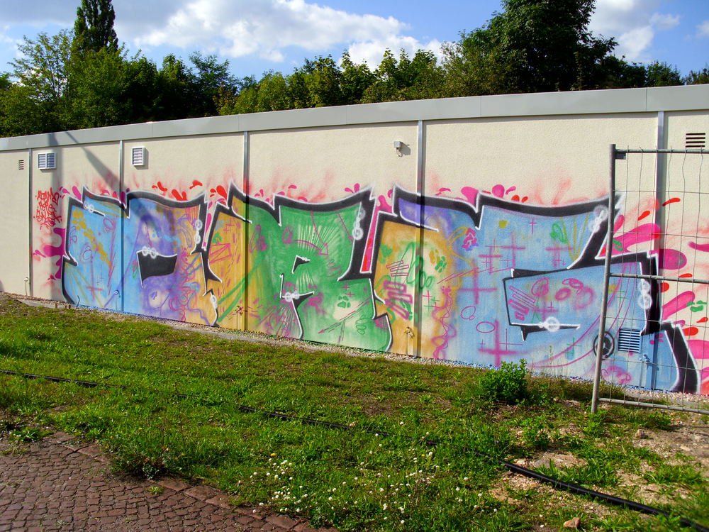 Graffiti Bombing - Photo by Marieundjana - org