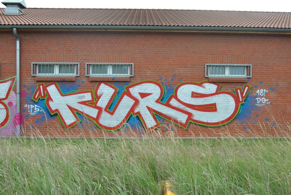 Graffiti Bombing - Photo by Marieundjana - kurs