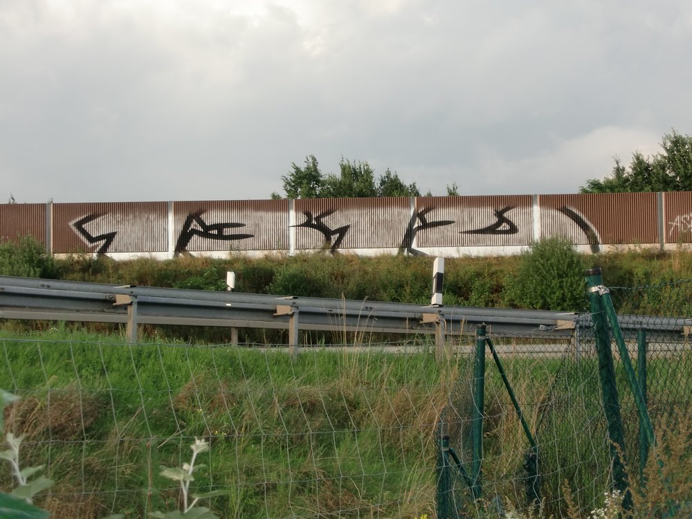 Graffiti Bombing - Photo by Marieundjana - 1312