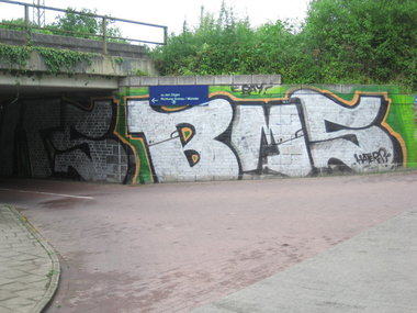 Graffiti Bombing - Photo by Marieundjana - bms