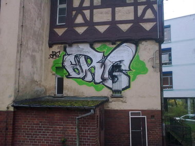 Graffiti Bombing - Photo by Marieundjana - org