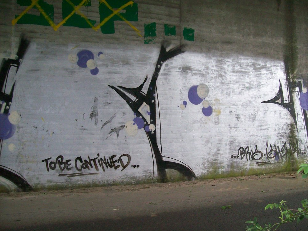 Graffiti Bombing - Photo by Marieundjana - fc