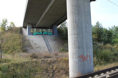 Graffiti Bombing - Photo by Marieundjana - 481