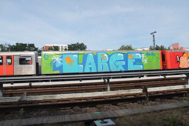 Graffiti Train - Photo by Marieundjana - large