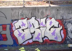 Photo #88105 by TagHagel