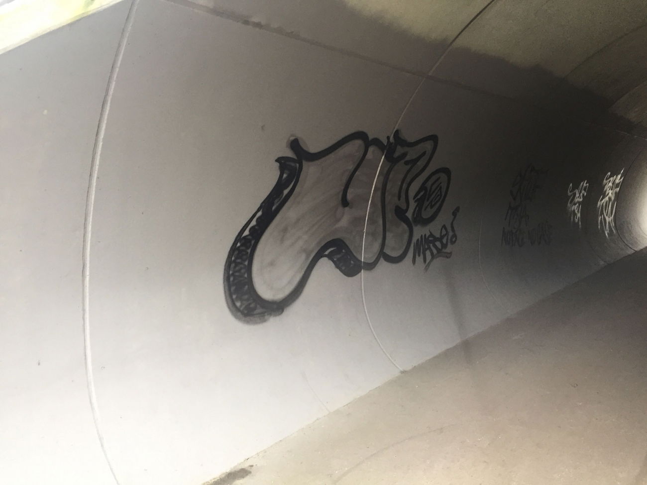 Graffiti Bombing - Photo by Mase1 (2020)