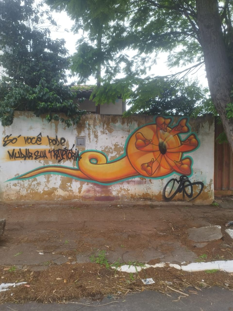 Graffiti Wall - Photo by MatosZoio