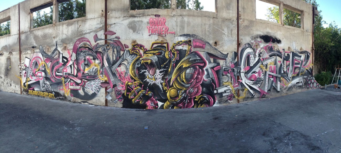 Graffiti Wall - Photo by Matracke - colorfighter, avignon, france (2015)