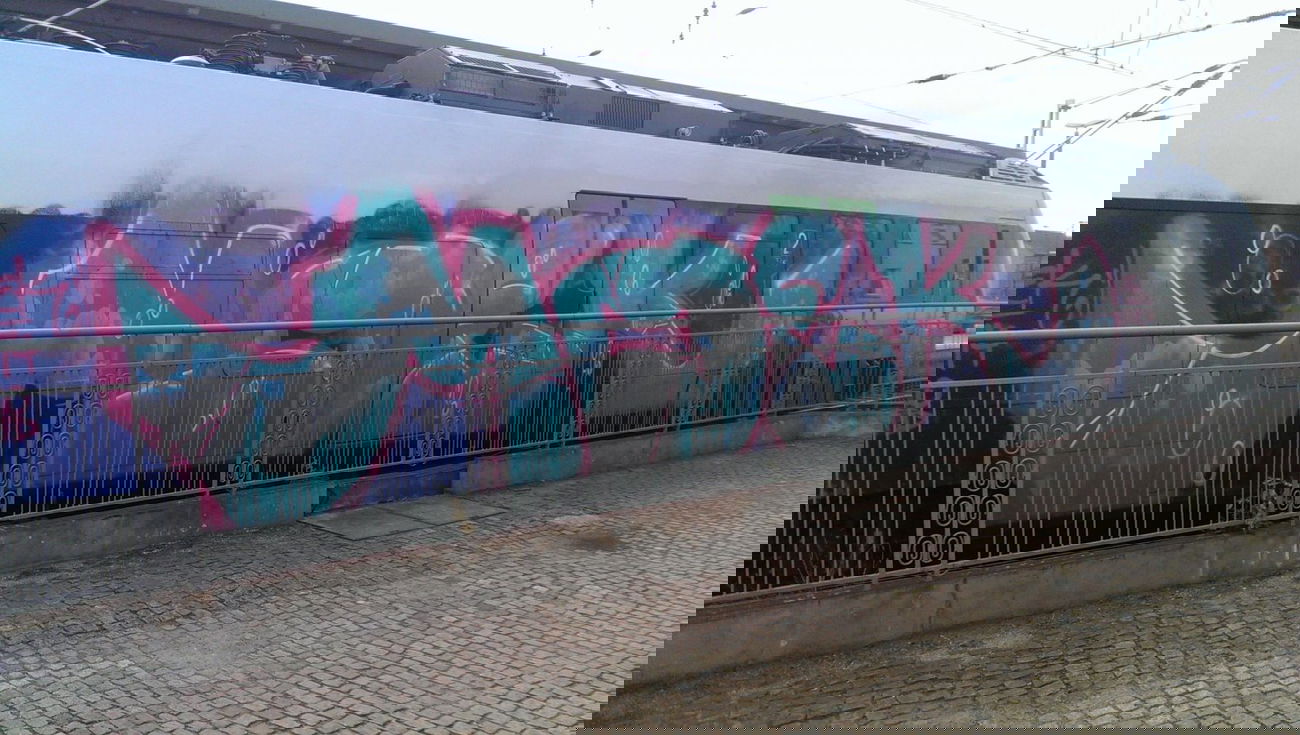 Graffiti Train - Photo by MaxLeibbrand - moek, lma (2014)