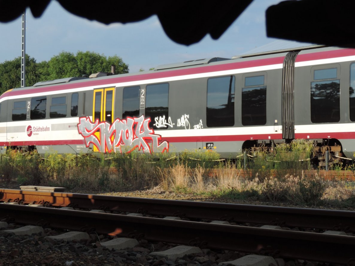 Graffiti Train in Dresden - Photo by MaxLeibbrand - Snok, LMA, LMAS (2014)