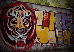 Photo #34973 by 19xllls