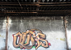 Photo #41095 by 19xllls