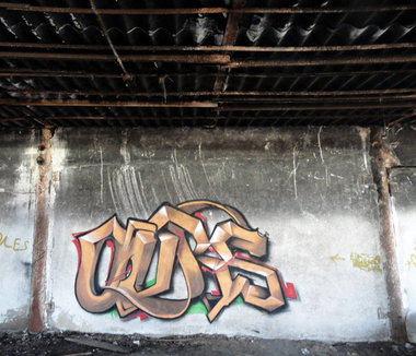 Graffiti Wall in Russia - Photo by MaxvellTwis - OURS, crew (2013)