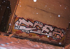 Photo #10668 by mrzins