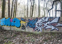 Photo #147061 by anteiichi