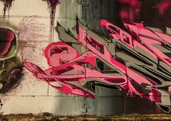 Photo #214328 by Belt