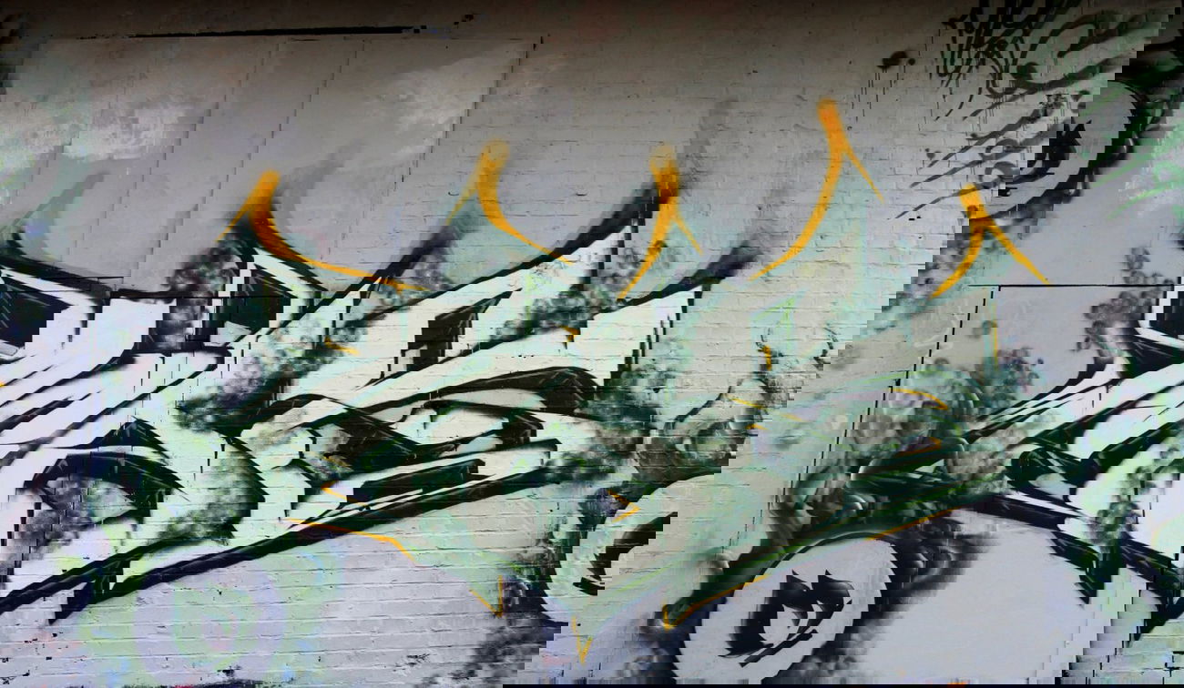 Graffiti Wall - Photo by Meag199