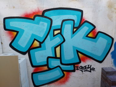 Graffiti Bombing - Photo by Meckes