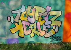 Graffiti Bombing - Photo by Meckes