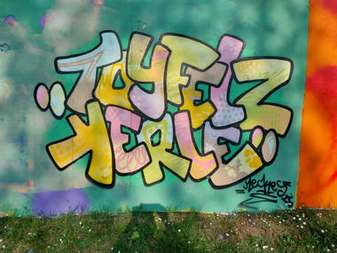 Graffiti Bombing - Photo by Meckes