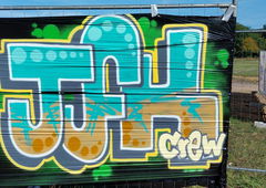 Graffiti Bombing - Photo by Meckes