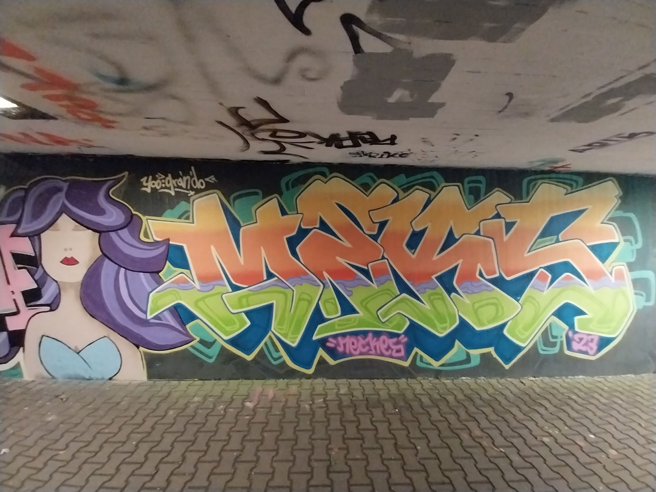 Graffiti Wall - Photo by Meckes